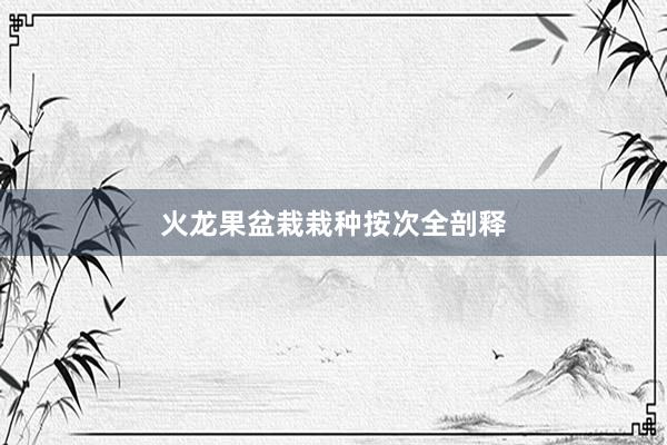 火龙果盆栽栽种按次全剖释