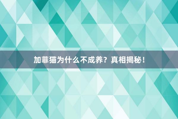 加菲猫为什么不成养？真相揭秘！