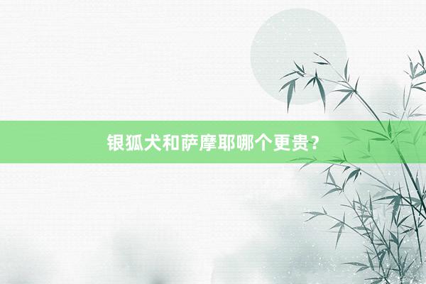 银狐犬和萨摩耶哪个更贵？